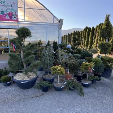 Favre Horticulture 01