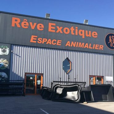 Reve Exotique 25420
