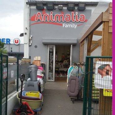 Animomiam Animalia
